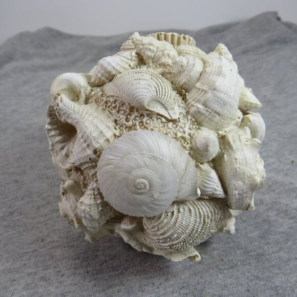 Faux Sea Shell Ball - Orb - Round Coastal Decoration 13" round - Picture 1 of 10